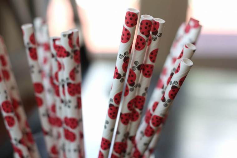 straw-lady-bugs